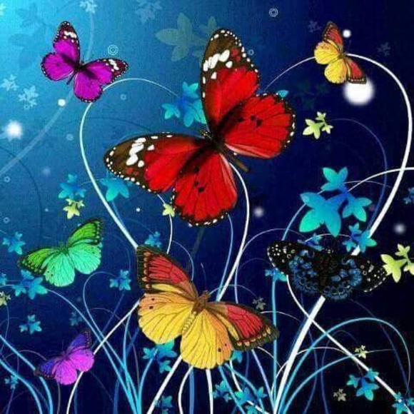 Meet your Posher, Cecilia - Picture 1 of 1